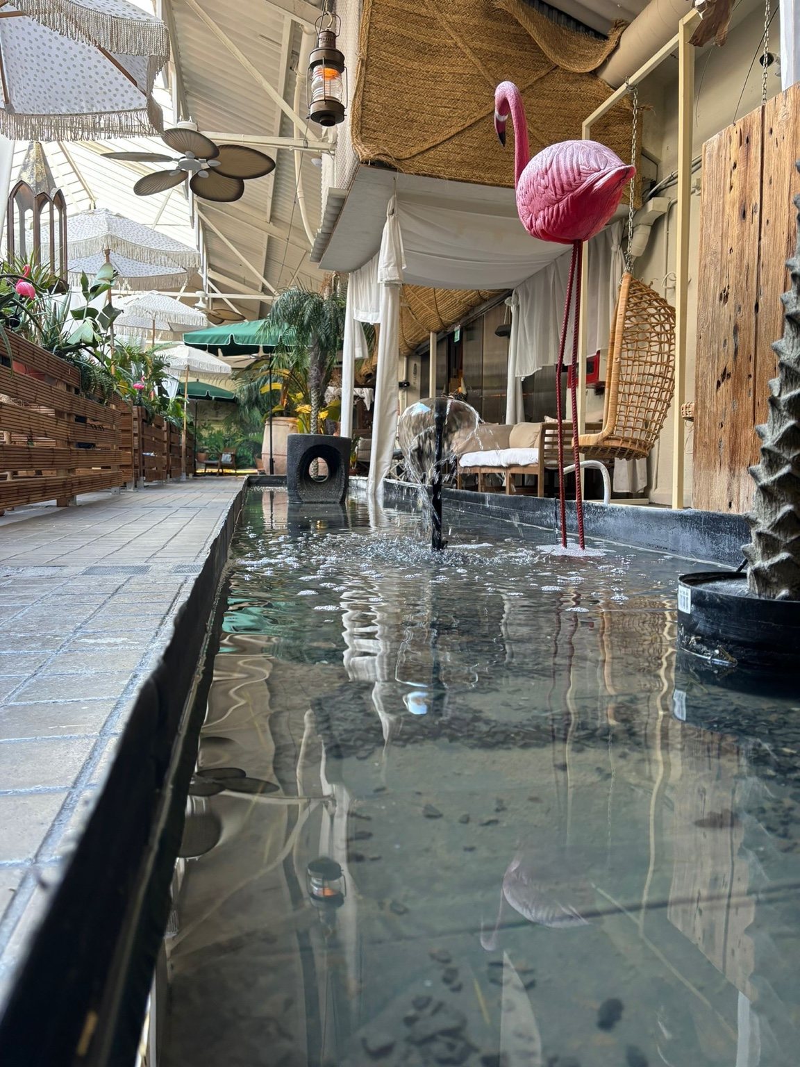 Life Tropical Garden · Agua en movimiento